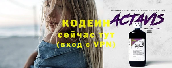 крисы Армянск
