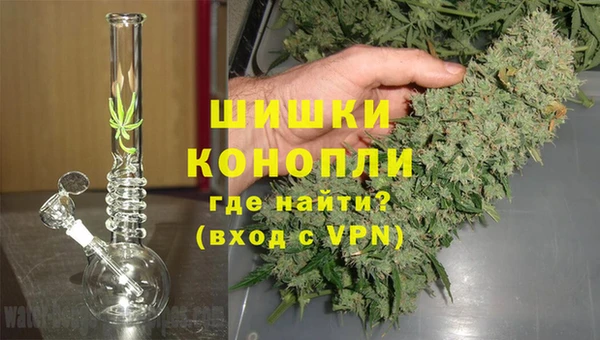 крисы Армянск