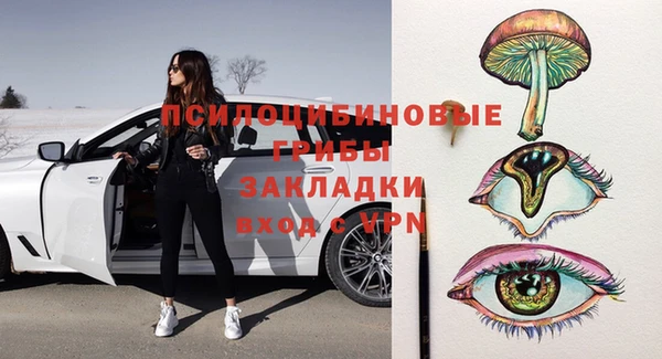 мдпв Арсеньев