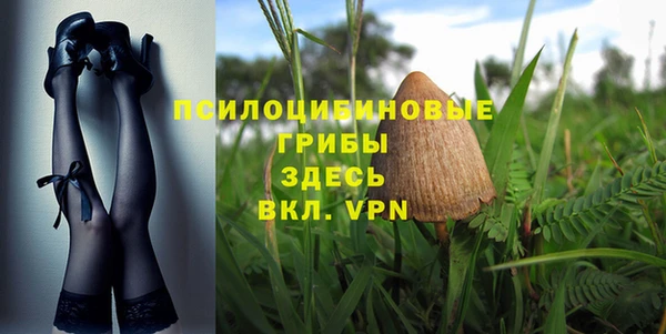 крисы Армянск